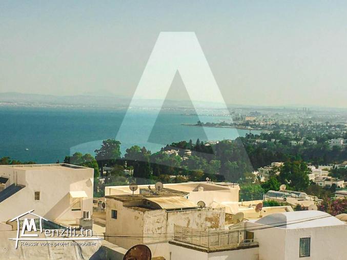 Location d'une villa de Charme à Sidi Bou Said