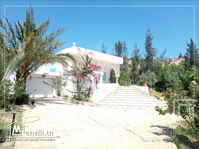 فيرما هبال فيها  فيلا  و أشجار