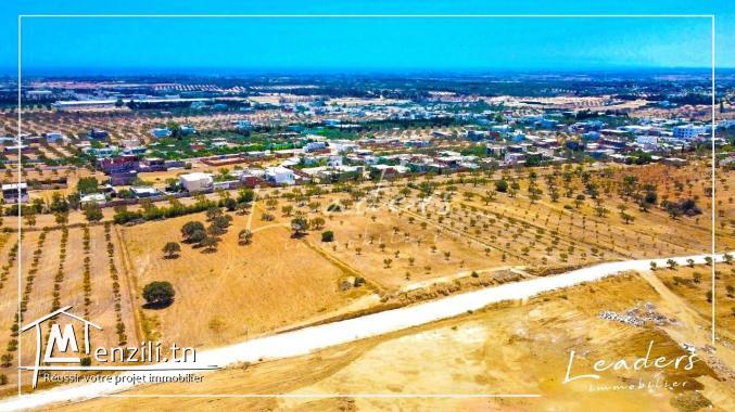 A vendre les derniers lots à Hammamet Sud