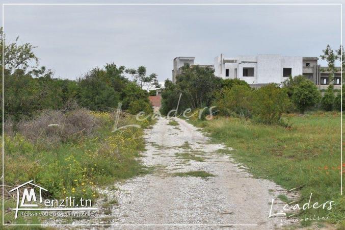 A vendre chez notre agence leaders immobilier un Terrain constructible situé à Sokra