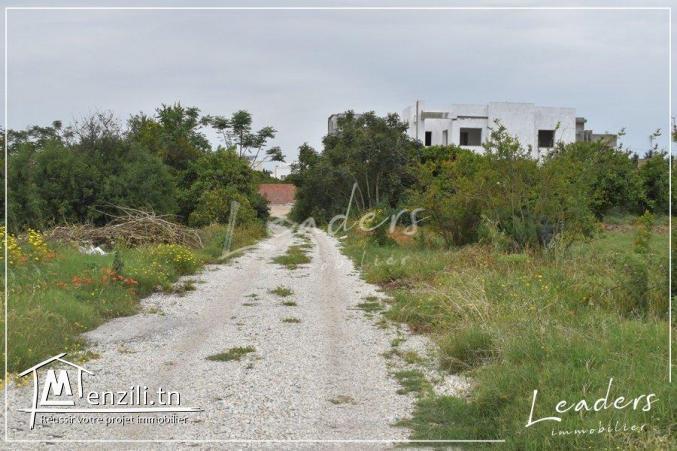 A vendre chez notre agence leaders immobilier un Terrain constructible situé à Sokra