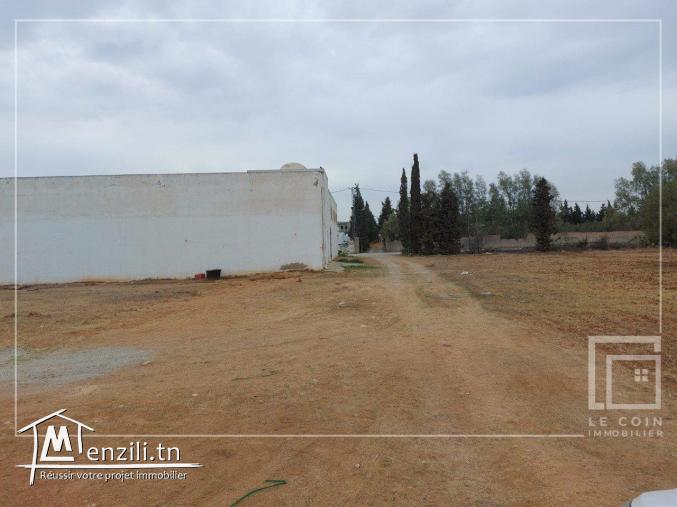 ارض للبيع بسيدي حماد⚠️⛔