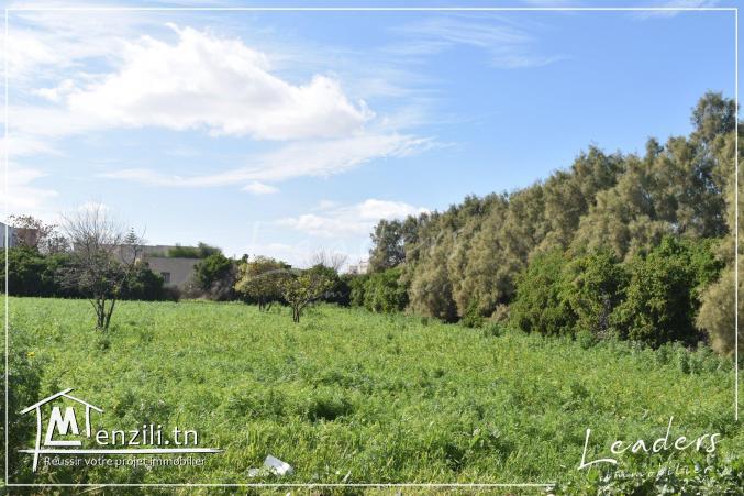 A VENDRE CHEZ NOTRE AGENCE Leaders Immobilier un beau terrain viabilisé, situé à La Sokra .