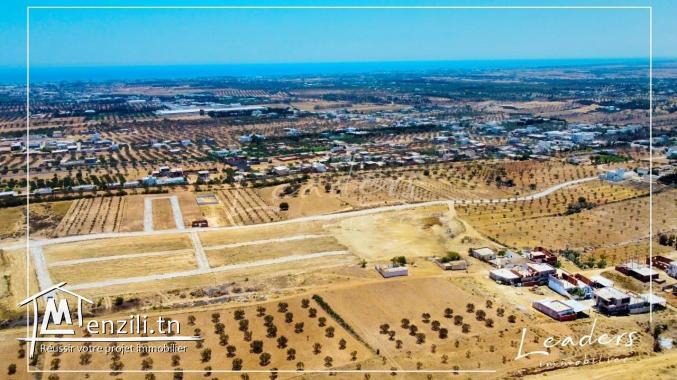 مشروع_التقسيم الموجود في الحمامات الجنوبية