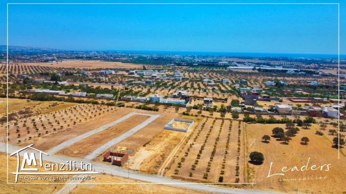 مشروع_التقسيم الموجود في الحمامات الجنوبية