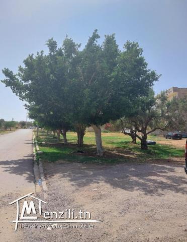 Avendre terrain 660m2 de vocation R+3 pré café fation kantaoui