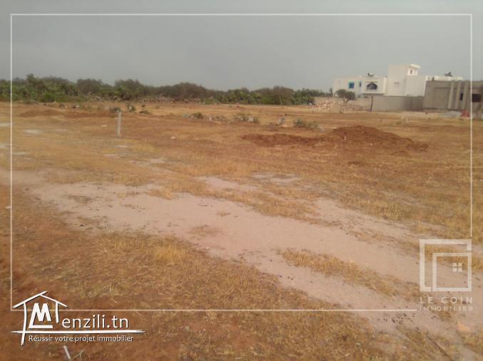 terrain constructible 500 mètre de Yasmine Hammamet