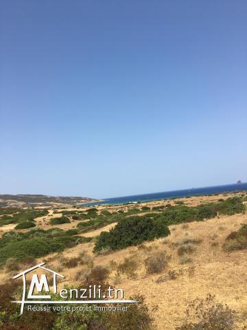 للبيع منزل كبير بالزهروني