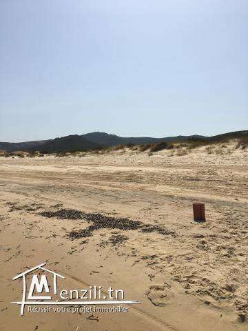 للبيع منزل كبير بالزهروني