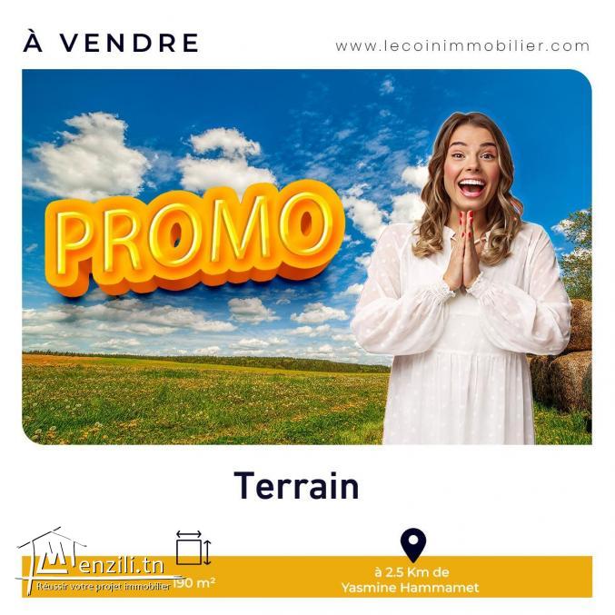 Promotion ???????????????? 29 833 379