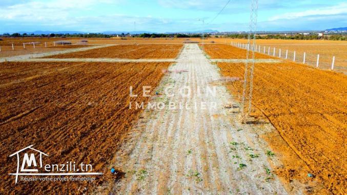 ⚒ Projet de lotissement ⚒ 29 833 379