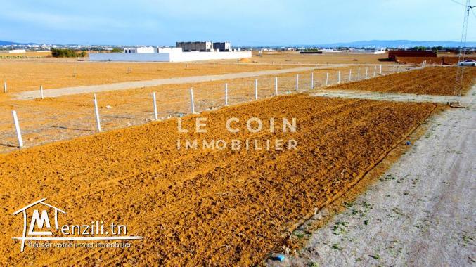 ⚒ Projet de lotissement ⚒ 29 833 379