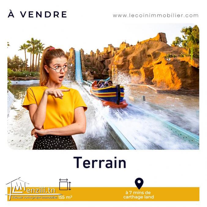 29833379  ???????? كيما العادة ديما نودوكم بالأفاريات