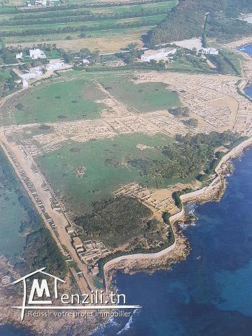 2 Grandes Maisons + Résidence Touristique - Front de Mer