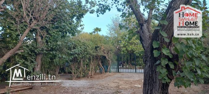 Terrain Villa Clarita à Vendre à La Marsa Ville