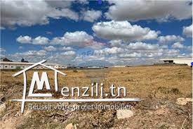 TERRAIN INDUSTRIEL DE 6000 m²