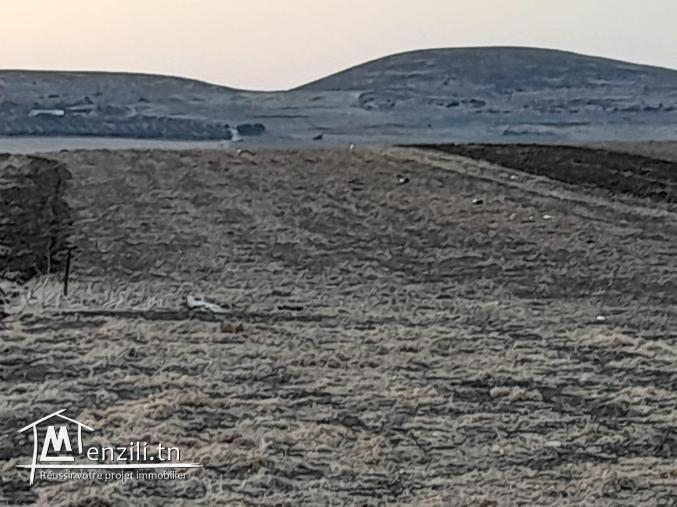 Vente terrain 1000m2 Methline- Bizerte