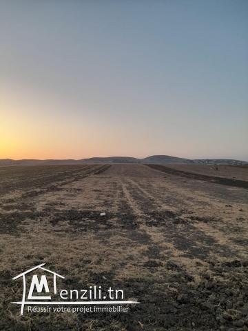Vente terrain 1000m2 Methline- Bizerte