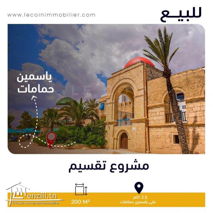 مشروع تقسيم