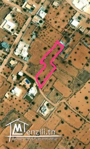 À saisir terrain zone urbaine 2100m2 87000dt