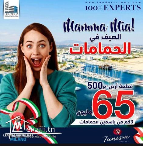 projet de lotissement à vendre à sidi hamed 27246304