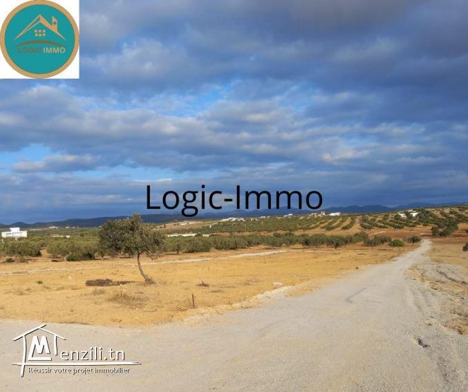 Terrain à vendre...93 743 350