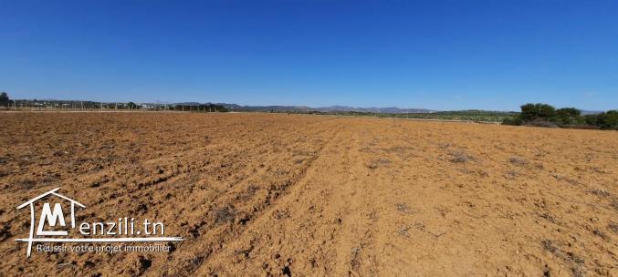 terrain à vendre ...0016 93 743 350 Neila