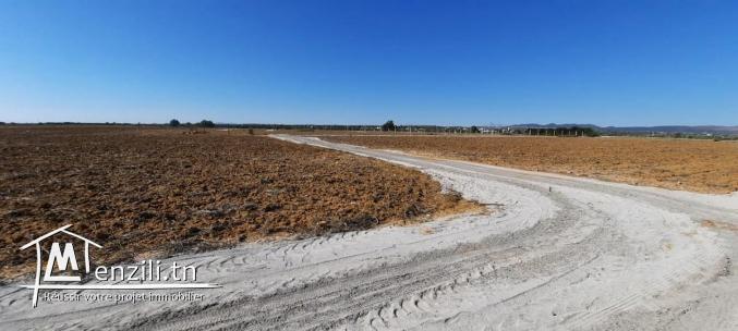 terrain à vendre ...0016 93 743 350 Neila