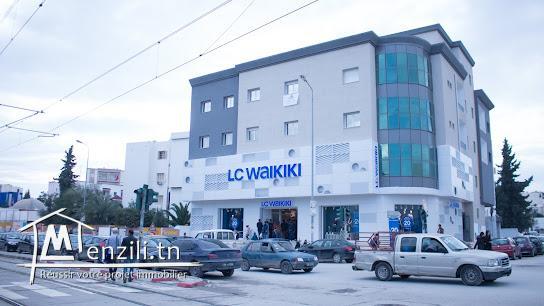 قطعة ارض مهيأة بتقسيم المنتزه راس الكاف قفصة