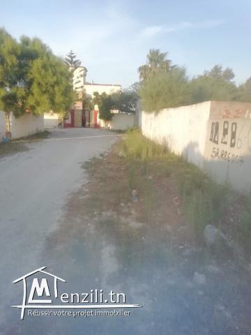 Terrain 250 m rapued plage citée des juges