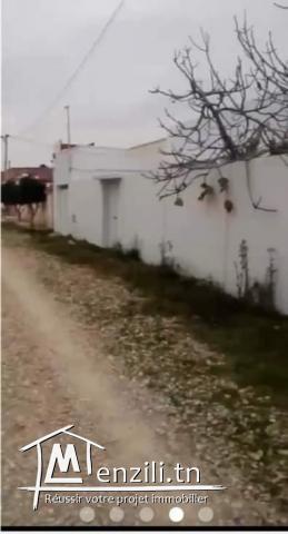 Terrain 250 m rapued plage citée des juges