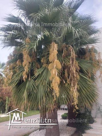 A Louer villa s5 de 3600m² avec piscine et jardin, La Soukra