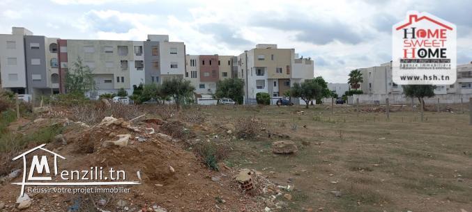 Terrain Promoteur Elijah à Vendre à Cité EL Habib