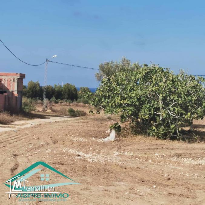 VT744 Terrain d’habitation à Hammam ghzeez à coté de Lycée