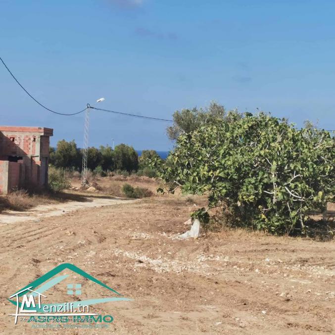 VT744 Terrain d’habitation à Hammam ghzeez à coté de Lycée