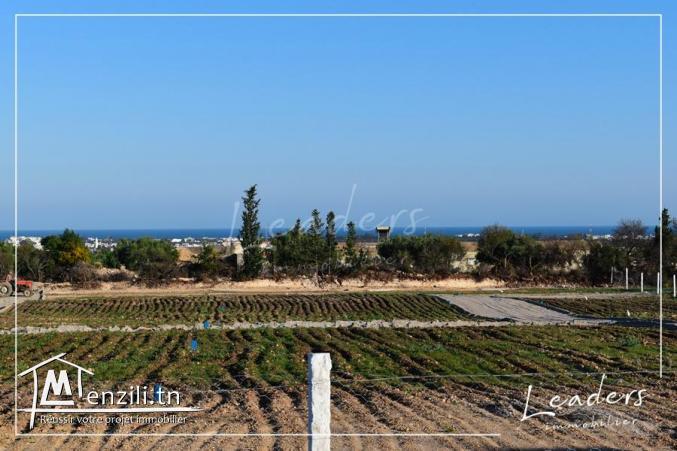 Terrain vue de mer à Hammamet sud à vendre