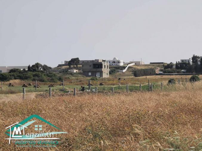 VT747 Terrain 500 mètres plage kerkouane