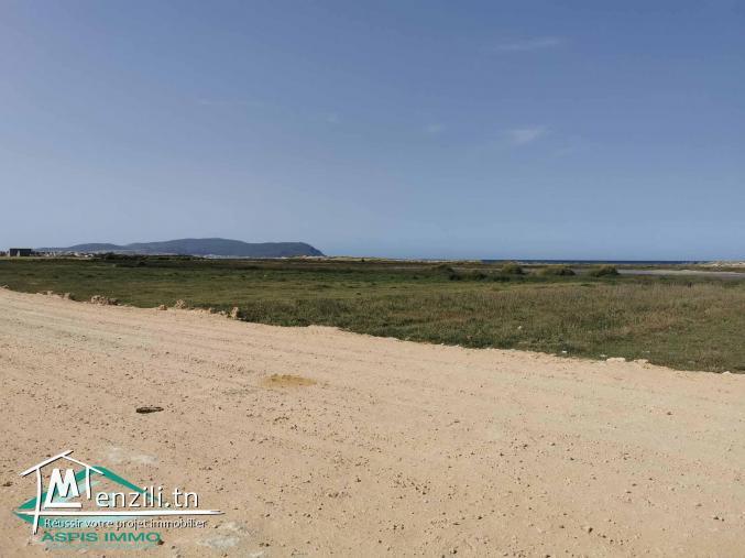 VT747 Terrain 500 mètres plage kerkouane