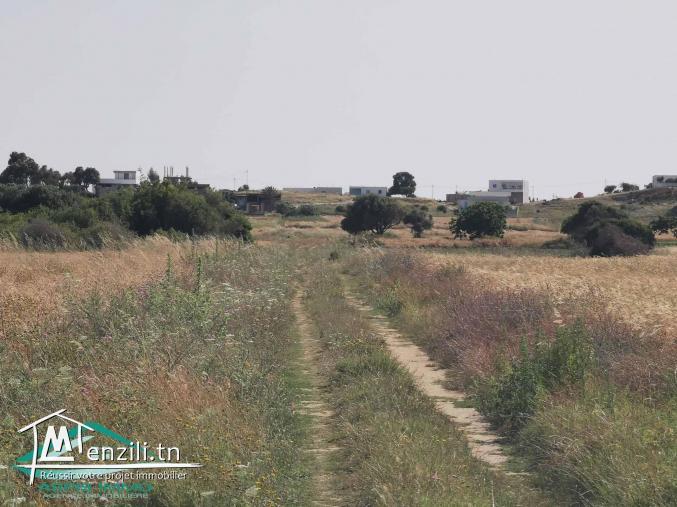 VT747 Terrain 500 mètres plage kerkouane