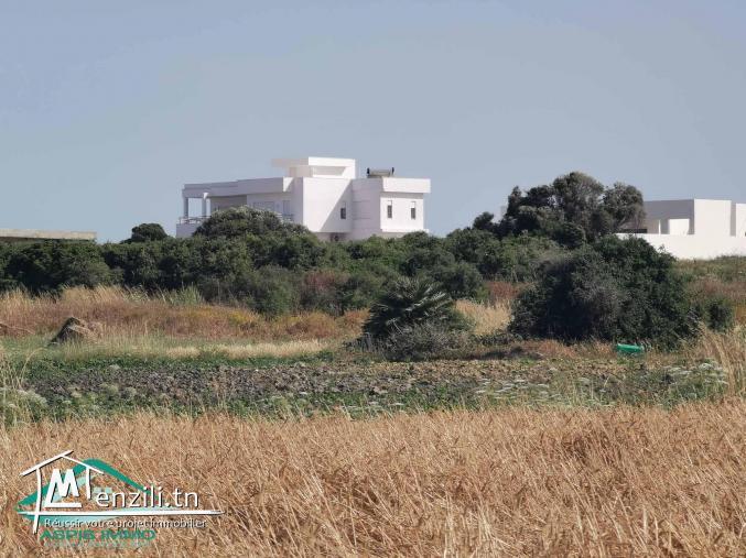 VT747 Terrain 500 mètres plage kerkouane