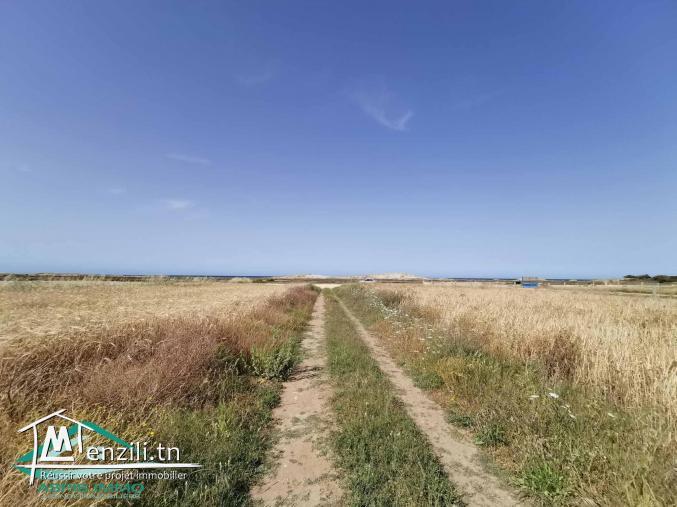 VT747 Terrain 500 mètres plage kerkouane