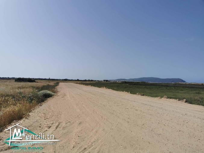 VT747 Terrain 500 mètres plage kerkouane