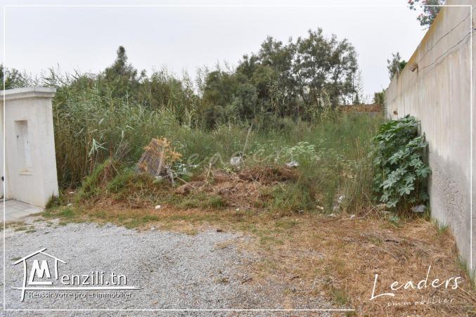 A vendre un beau terrain à CHOTRANA 2