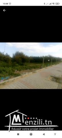 Terrterrain agricole