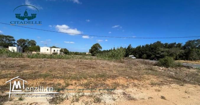 الجديد اليوم #مشروع #تقسيم #بكركوان