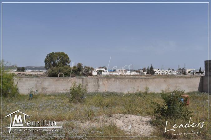 A VENDRE  un beau terrain viabilisé, situé à Chotrana 1