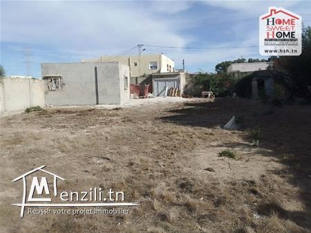 Terrain Villa Viola à Vendre à Chotrana