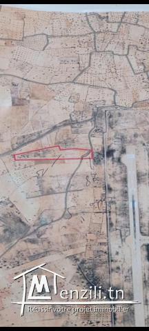 Vente terrain à Djerba Mellita