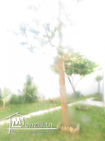 Villa luxueuse  2 étages