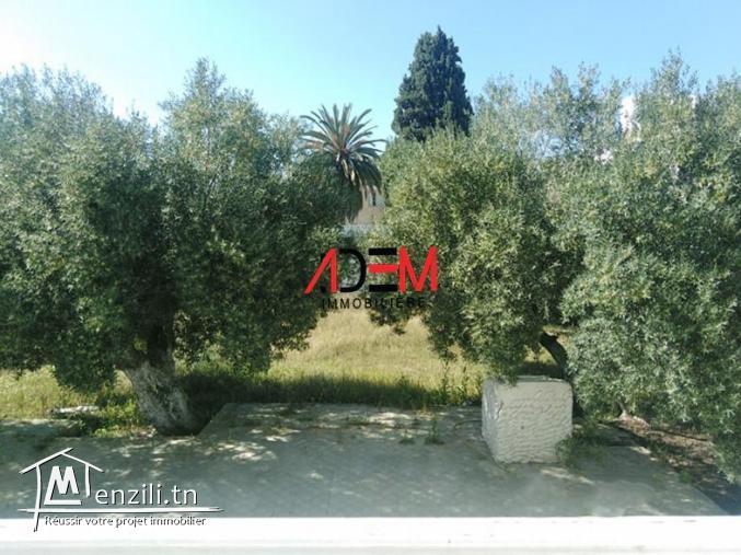 Villa style américain de 1000m² à Khzema